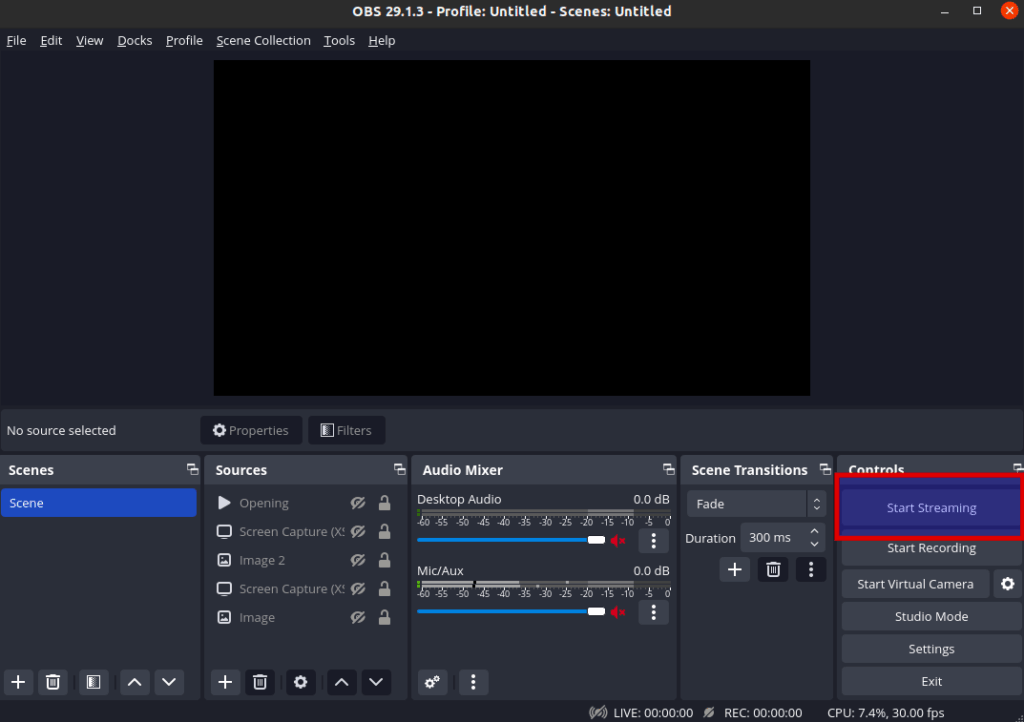 RTMP stream in WebVideo